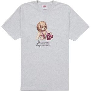 Supreme Ash Grey Dust tee - New in bag. Never worn. With tags.